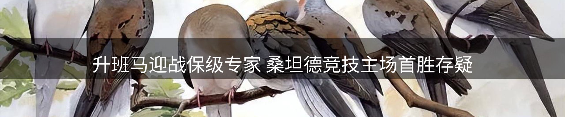 焦点视窗